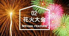 SPECIAL FEATURE 伊豆 - 02 花火大会
