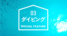 SPECIAL FEATURE 伊豆 - 03 ダイビング
